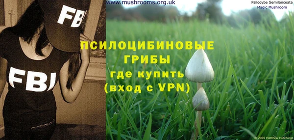 героин Алексин