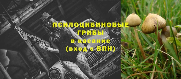 героин Алексин