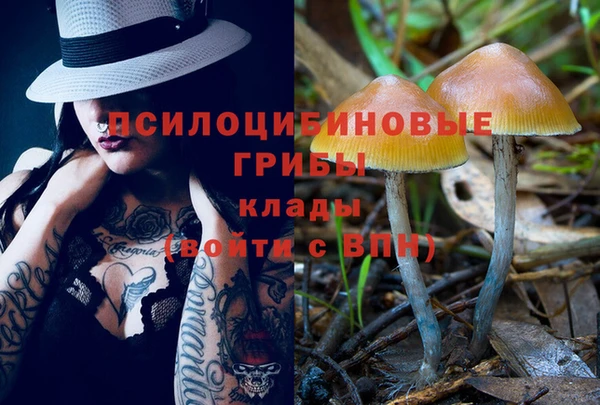 героин Алексин