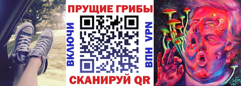 mega рабочий сайт  Льгов  Псилоцибиновые грибы Cubensis 